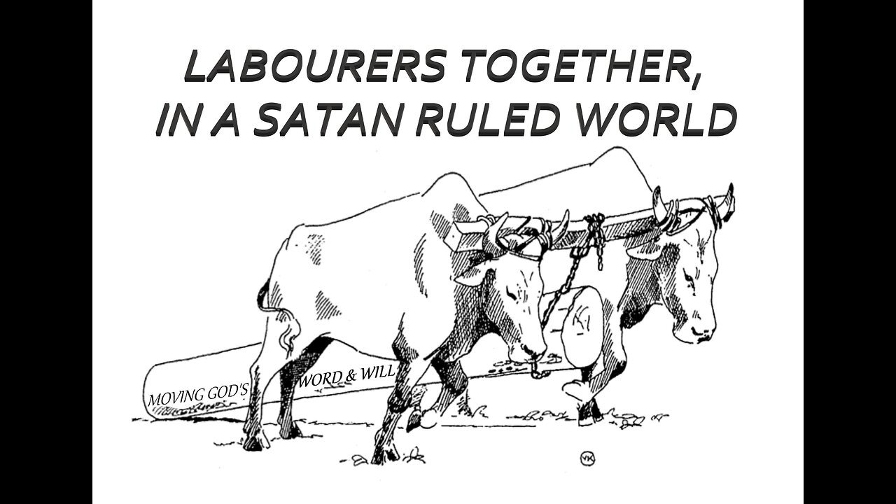 LABOURERS TOGETHER, IN A SATAN RULED WORLD #683 VPW