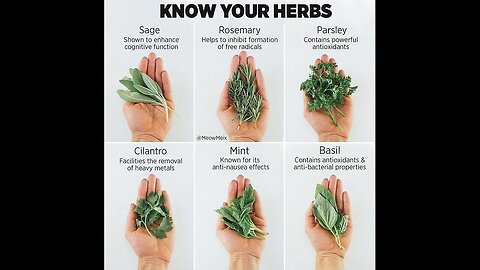 Colin Yurcisin - What seed oils are doing to your healt 💀💀💀