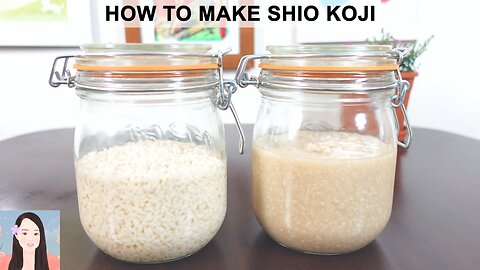 How to Make Shio Koji (Recipe - Japanese Cooking) - Sakura Yubi