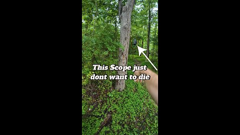 This Walmart scope just don't want to die