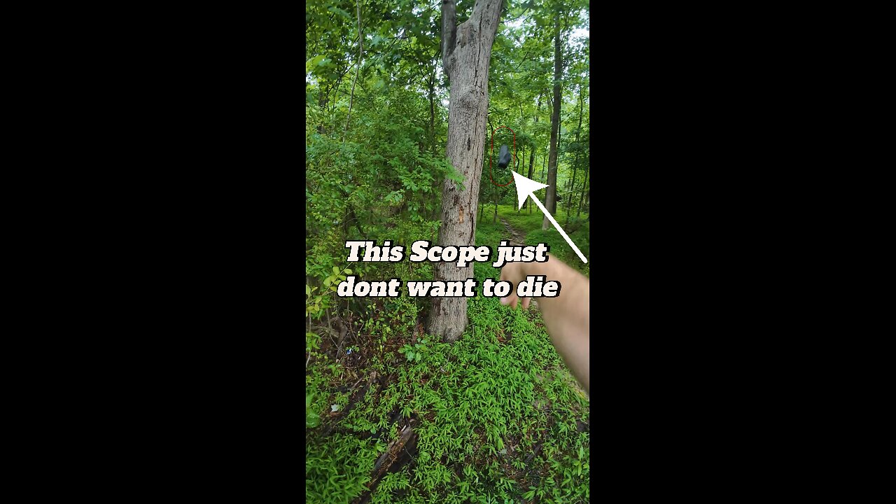 This Walmart scope just don't want to die