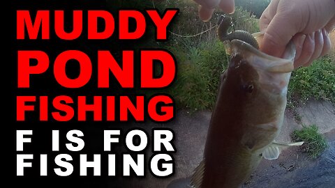 Muddy Pond Fishing