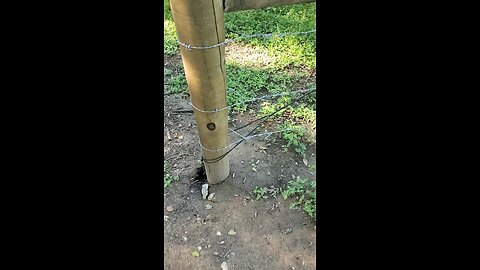 Cheap fence