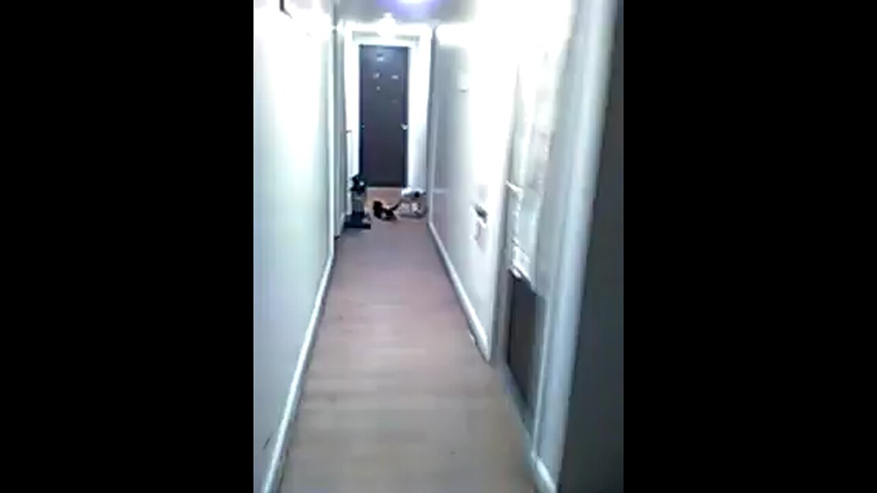 lol