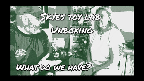 Skyes toy lab small haul