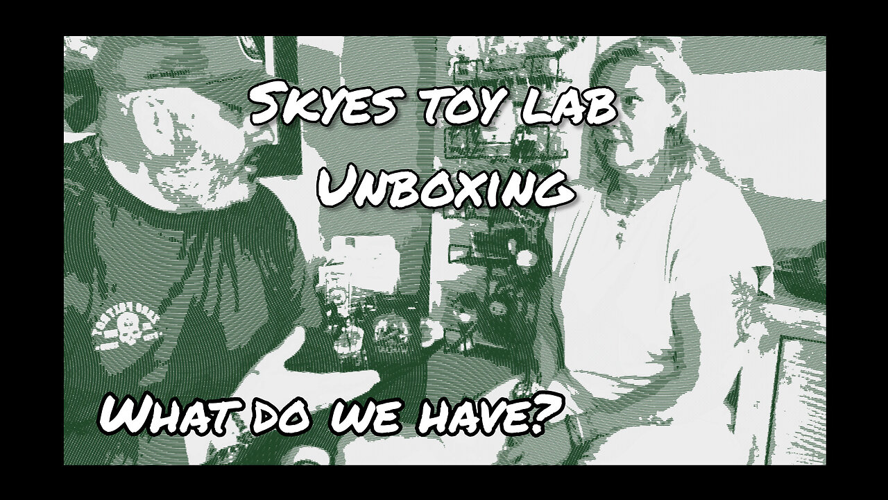 Skyes toy lab small haul