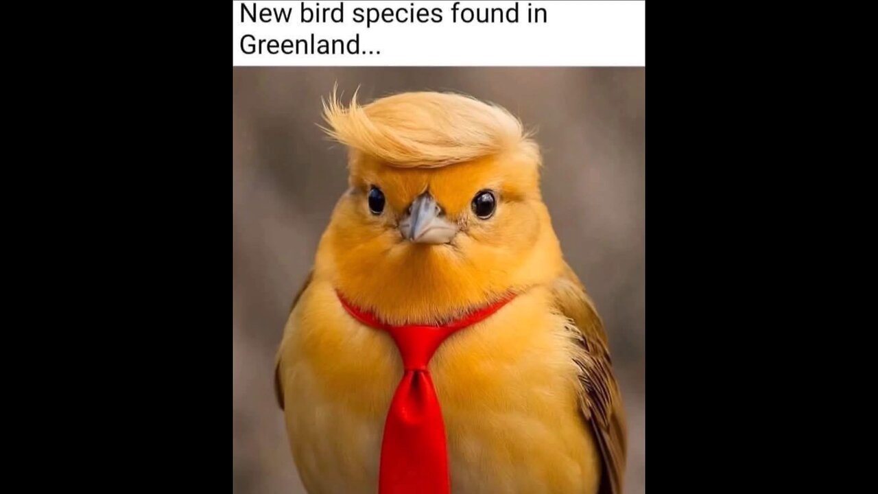 New Species