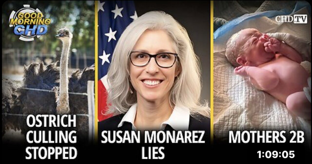 Ostrich Culling Stopped + Susan Monarez Lies + Mothers 2B