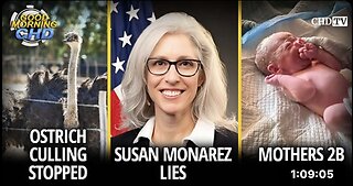Ostrich Culling Stopped + Susan Monarez Lies + Mothers 2B