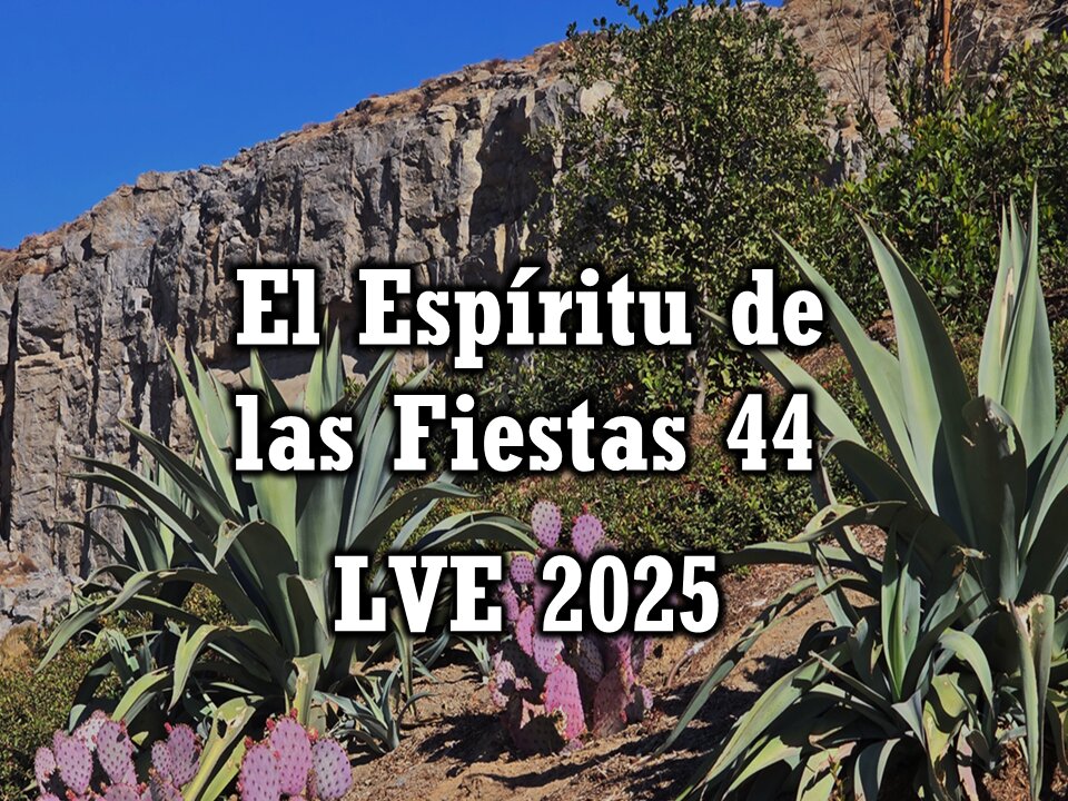 El Espíritu de las Fiestas 44