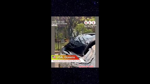 #USA #NewYork #Queens #Storm #Wind #climate #anomaly #climatecrisis #weather #destruction