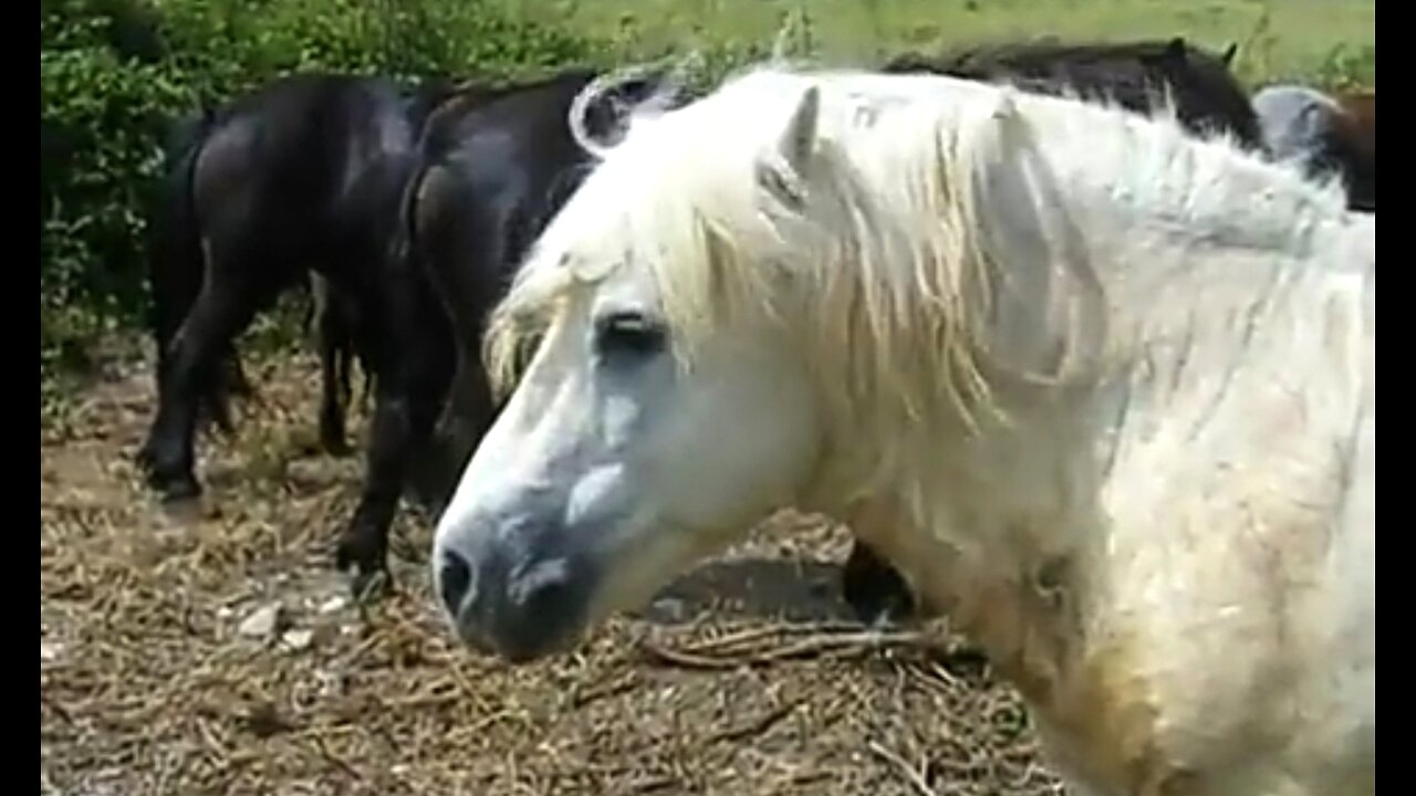 HEAVENLY REWARDS - DAILY DEVOTIONAL ❤️