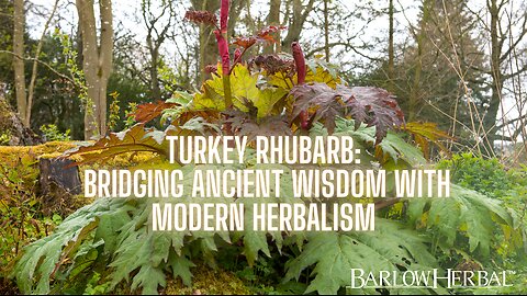 The Health Benefits of Turkey Rhubarb