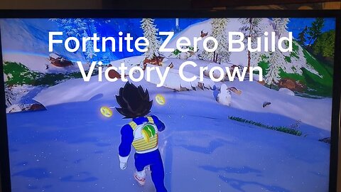 Fortnite W in Duos