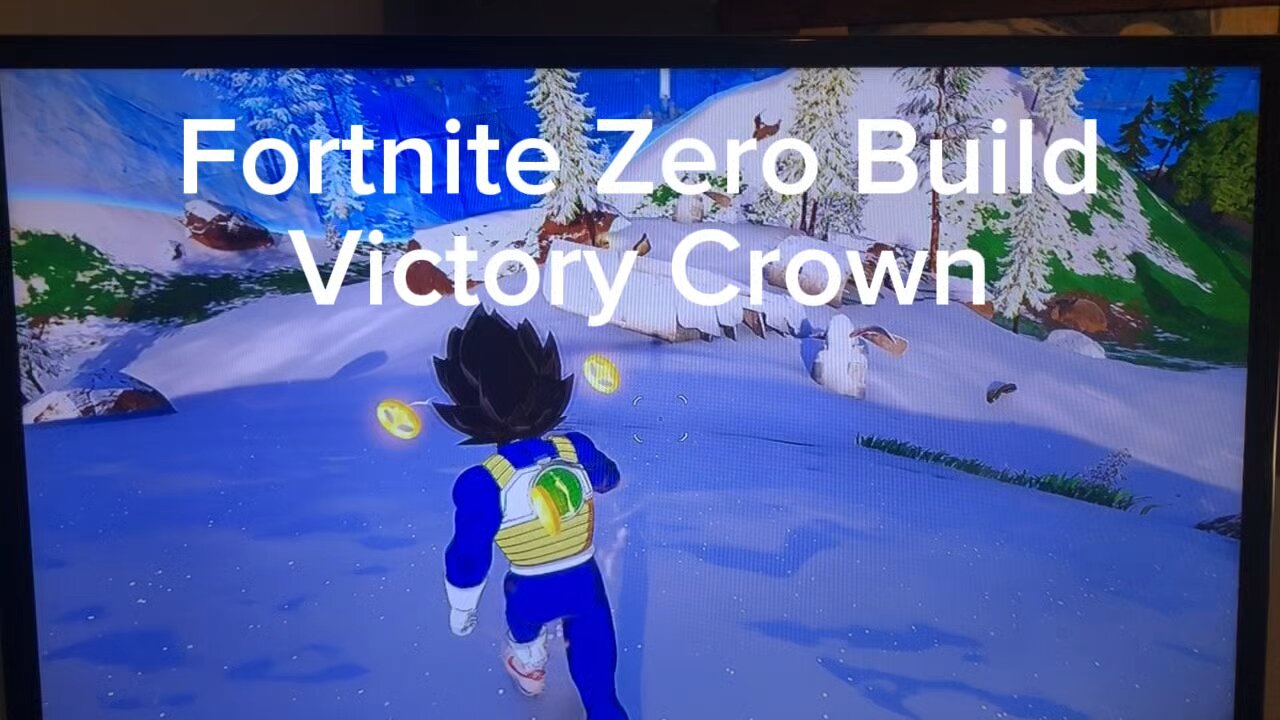 Fortnite W in Duos