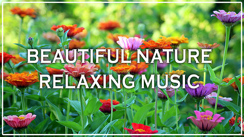Beautiful Nature Relaxing Music 🌿🕊️ | Calm Background for Sleep, Study & Meditation