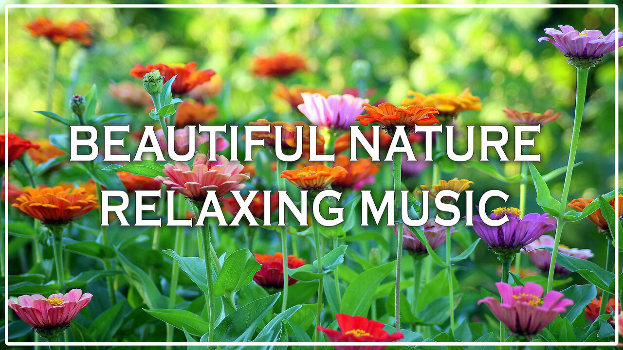 Beautiful Nature Relaxing Music 🌿🕊️ | Calm Background for Sleep, Study & Meditation
