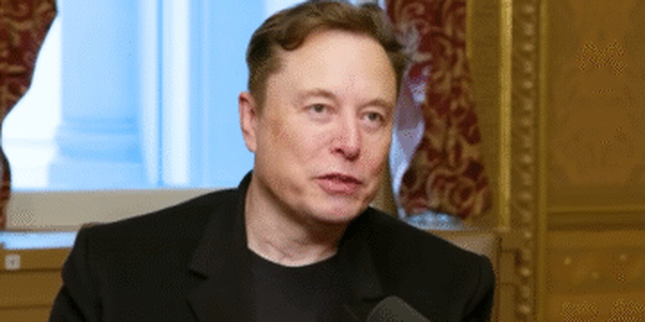 Resurfaced Claims Reveal Elon Musk Battled Amber Heard Over Embryos