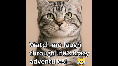 “Hilarious Everyday Fails That Will Make You Laugh Out Loud!” 😂