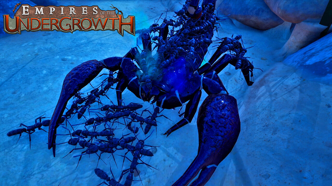 Overpowering Larger Foes! Empires Of The Undergrowth Part 13