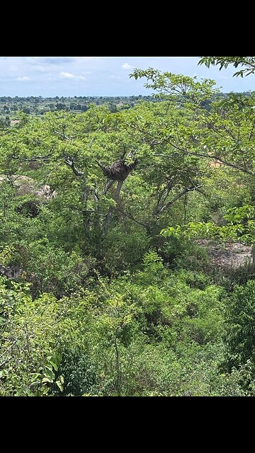 𝚁𝚒𝚟𝚎𝚛 𝙸𝚜𝚑𝚊𝚜𝚑𝚊