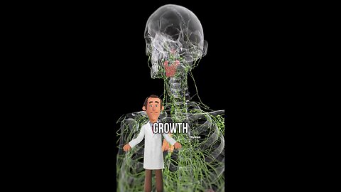 What actually happens when you sleep