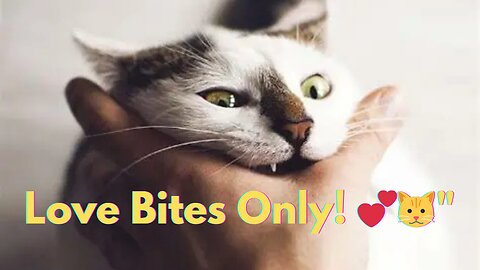 "When Your Cat Loves You... and Bites You!"