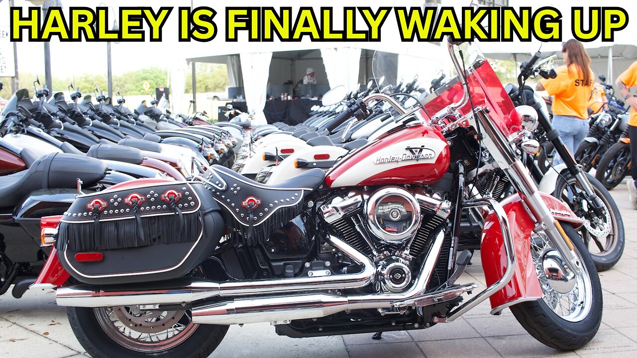 Harley FINALLY Did It! The Best Move they've Made in a Long Time