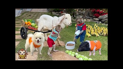 Touching moments of YiYi and Yin selling vegetables to buy food for friends