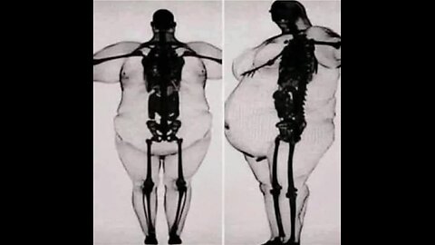 Back like fat after the crash👍