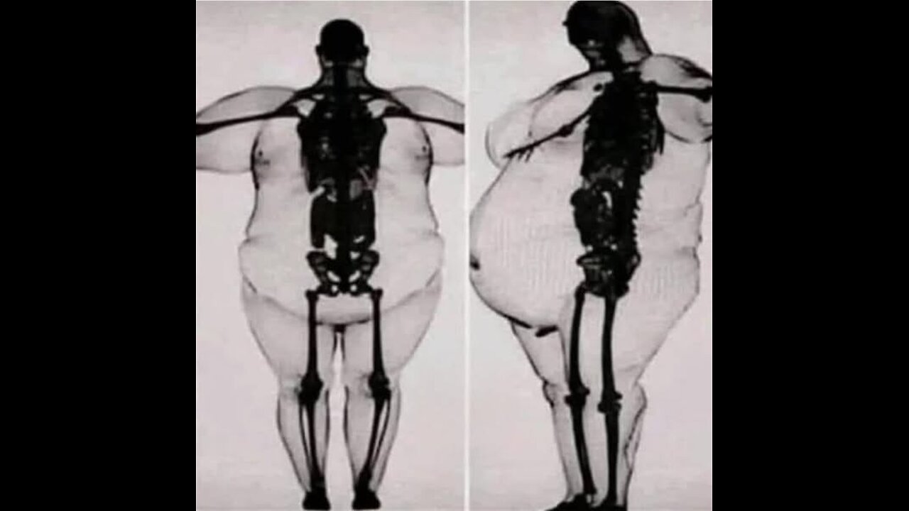 Back like fat after the crash👍