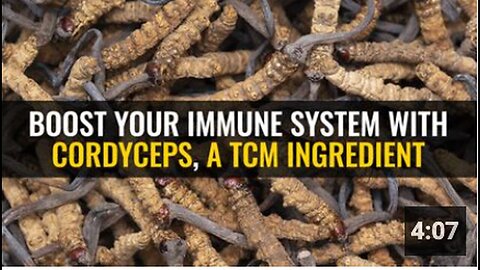 "Enhance Your Immunity with Cordyceps: A Traditional Chinese Medicine Ingredient"