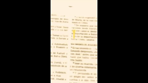 De la esclavitud a la idolatría