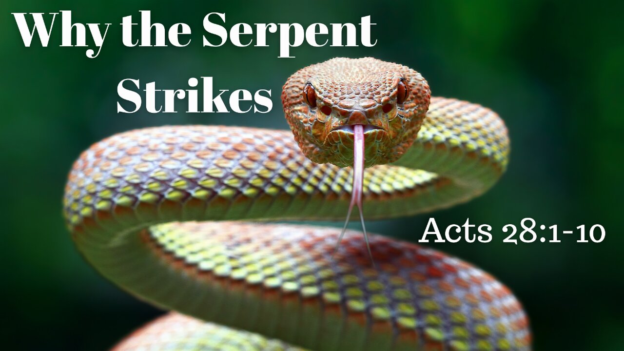 Acts 28:1-10 (Teaching Only), "Why the Serpent Strikes"