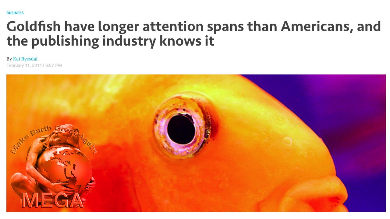 Goldfish have longer attention spans than Americans, and the publishing industry knows it