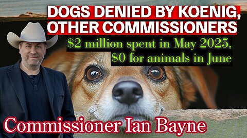 Commissioners Deny Dogs, Deny Low Cost Animal Clinic