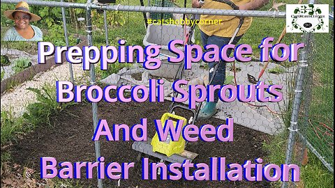 Prepping Space for Broccoli Transfer and Weed Barrier Installation - #catshobbycorner #broccoli