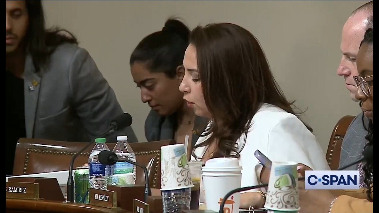 Rep Delia Ramirez Loses It Over Deportations