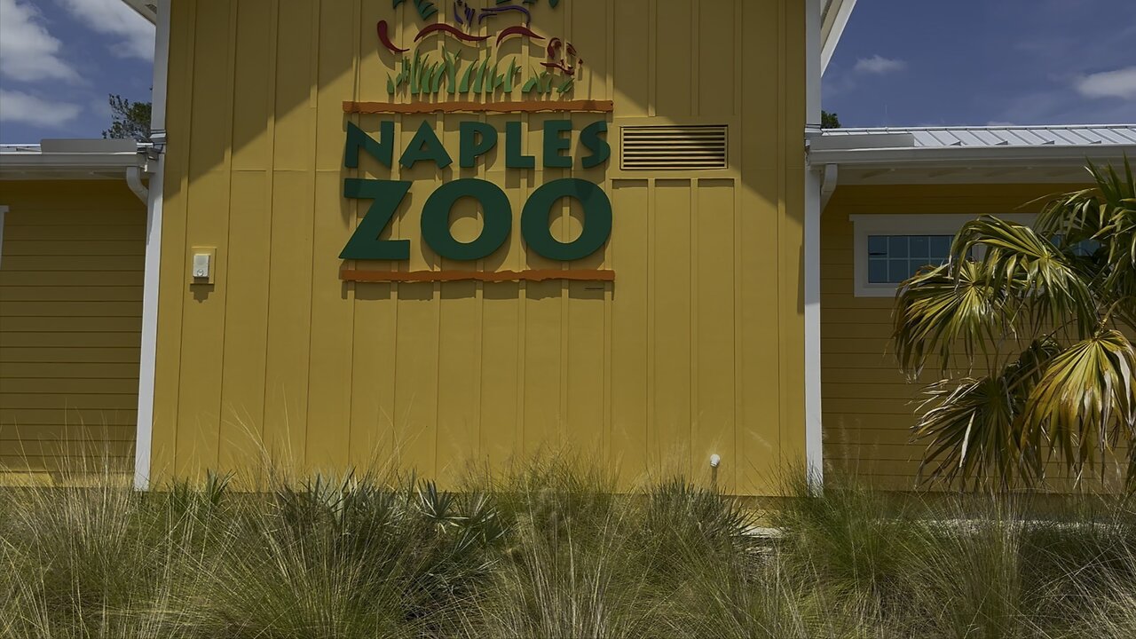 Naples Zoo Renovations Look Fantastic! | 4K