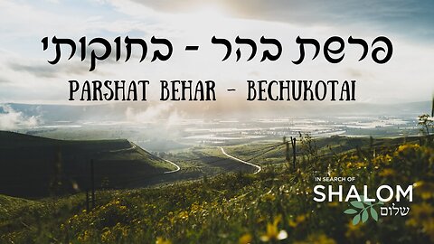 REGRESANDO A CASA AL VERDADERO OLIVO DE LA TORAH - PARASHAT #32 "BEHAR" Y #33 "BEJUKOTAI"