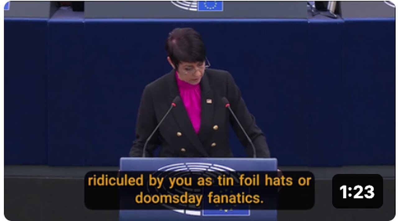 "Christine Anderson Criticizes EU's Use of Fear as a Control Mechanism - A German MEP's Stand"