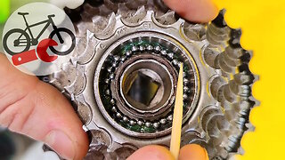 How to service bike freewheel? Lubrication bicycle freewheel bearings.