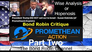 Wise Analysis or Hopenosis Part TWO