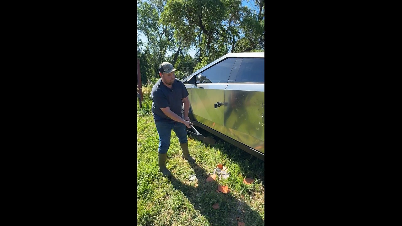 Tesla owner
