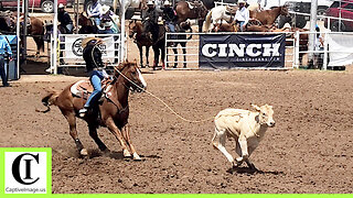 Top 5 Junior Breakaway Roping 🐂 2024 Spicer Gripp Memorial Roping