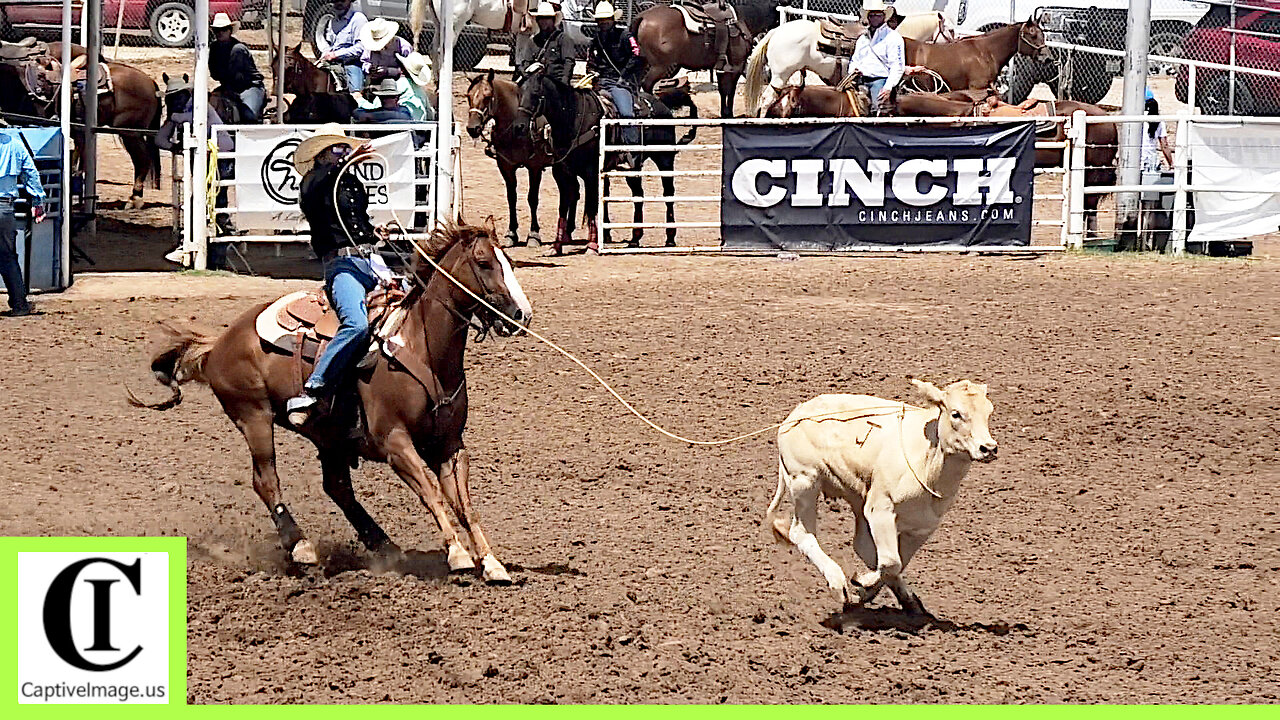 Top 5 Junior Breakaway Roping 🐂 2024 Spicer Gripp Memorial Roping