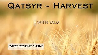 Qatsyr ~ Harvest Part Seventy~One 25 August 2025