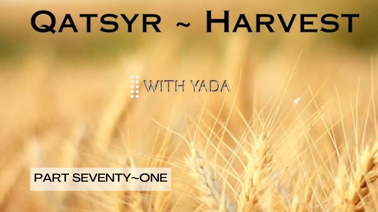 Qatsyr ~ Harvest Part Seventy~One 25 August 2025