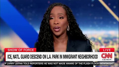 Tiffany Cross: ICE Is ‘Kidnapping People and Transporting Them to Concentration Camps Both Domestic and Foreign’