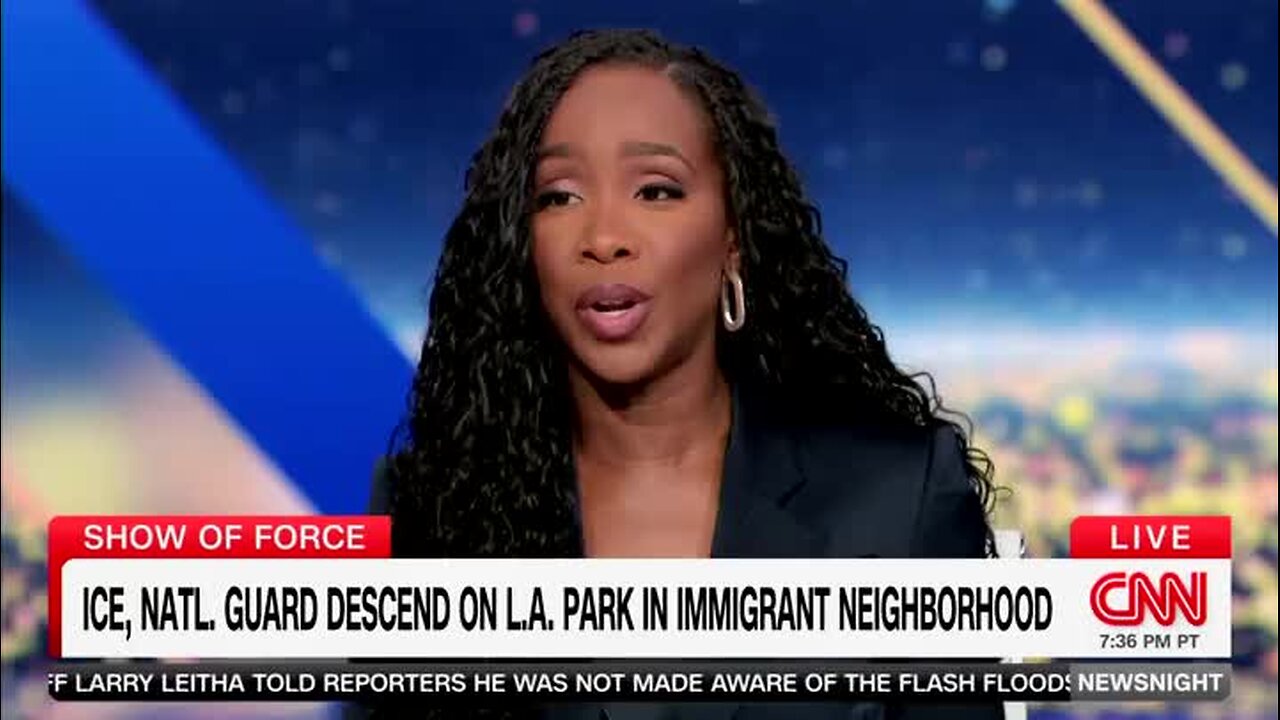 Tiffany Cross: ICE Is ‘Kidnapping People and Transporting Them to Concentration Camps Both Domestic and Foreign’